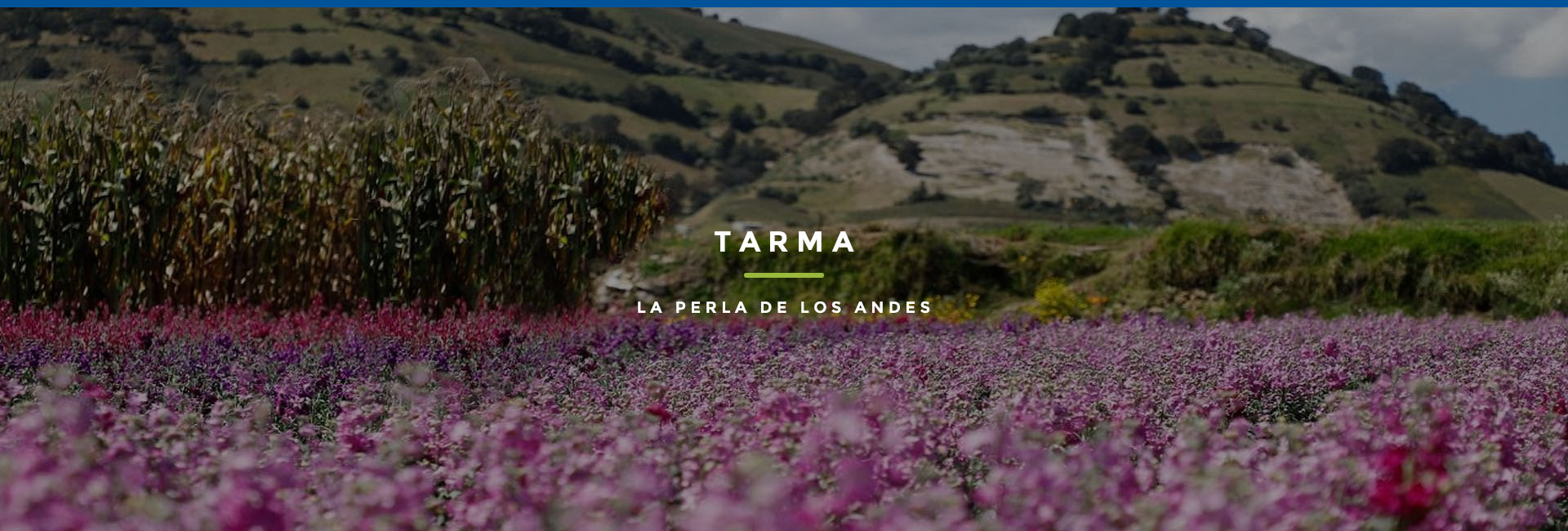 agencia turismo normandie